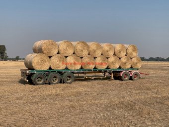 300 Wheaten Hay Rolls