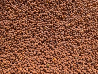 750mt Certified Organic Desi Drummond Chickpeas
