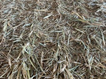 400mt Wheaten Hay 550kg 8x4x3 Bales
