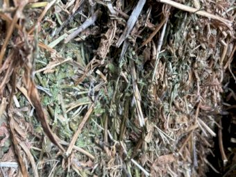 200mt Vetch Hay 650kg 8x4x3 Bales