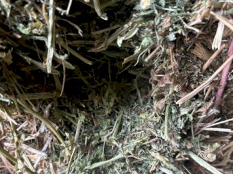 200mt Vetch Hay 650kg 8x4x3 Bales