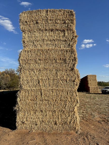 250mt Barley Straw 500kg 8x4x3 Bales
