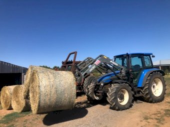 2001 New Holland TL100 Tractor with Loader