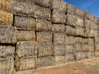 500 x Cereal Straw 8x4x3 Bales - Top bales only