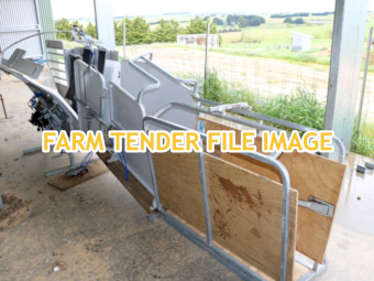 2023 Hecton Sheep Handler with lead up race