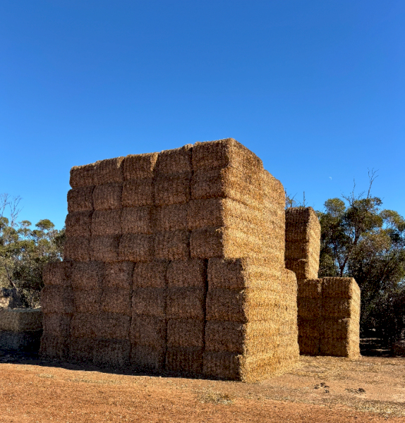 120mt Vetch Hay 8x4x3 Bales