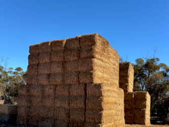 120mt Vetch Hay 8x4x3 Bales