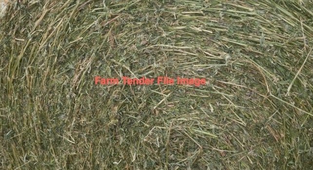 70 x Round Bales Lucerne with Rye and Clover