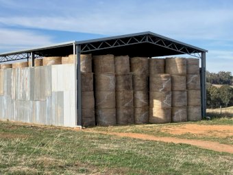 350 X Pasture Hay 5X4 Round Bales