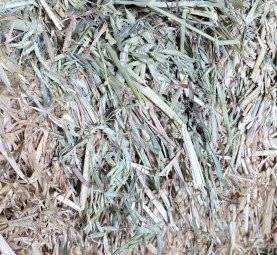 Oaten Hay small squares