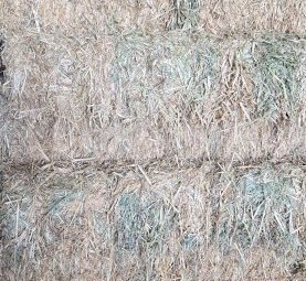 Oaten Hay small squares