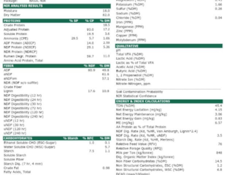 100mt Vetch Hay 500-550kg 8x4x3 Bales