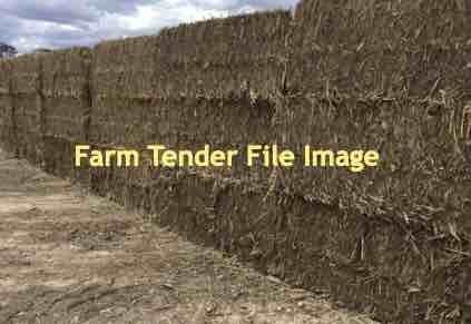 EOI  500 mt Maize Stubble