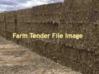 EOI  500 mt Maize Stubble