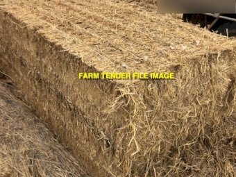 EOI 500 mt Rice Straw