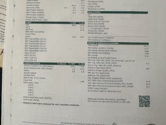 35mt Vetch Hay 720kg 8x4x3 Bales