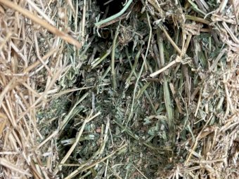 120 mt Irrigated Lucerne Hay