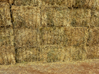 200mt Oaten Hay 560kg 8x4x3 Bales