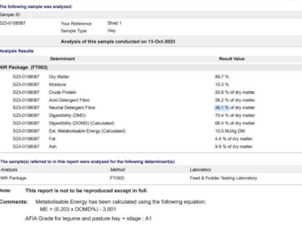 280mt Vetch Hay 600kg 8x4x3 Bales