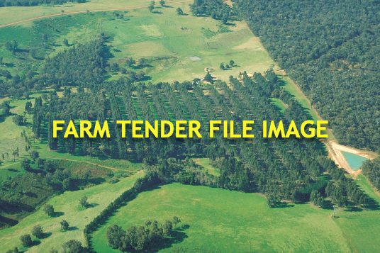 WANTED QLD Properties with Blue Gum / Forest Red Gum
