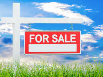 Beautiful 185 Acre Farm for Sale South Coast Stunner with all the Add ons