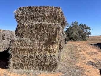 58 Bales Wheaten Hay Bottom Bales and 107 Bales Tops