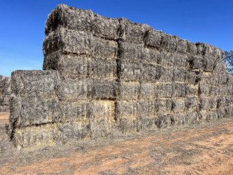 58 Bales Wheaten Hay Bottom Bales and 107 Bales Tops