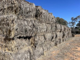 58 Bales Wheaten Hay Bottom Bales and 107 Bales Tops