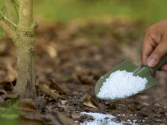 Urea ex Geelong - June Collection