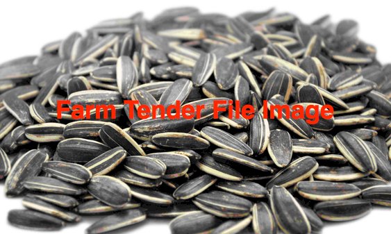 3mt Black Sunflower Seeds