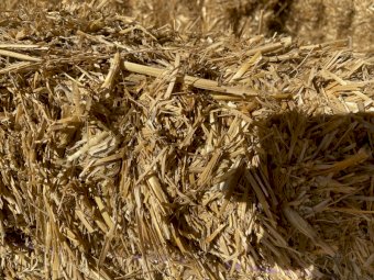 Header Trailed Wheaten Straw 24' Season