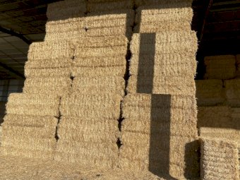 Header Trailed Wheaten Straw 24' Season