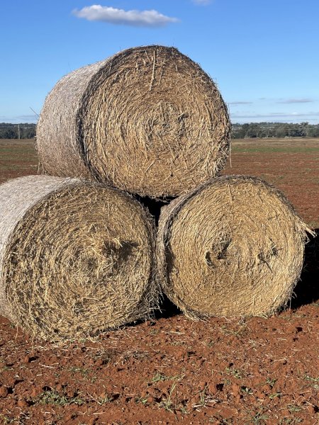 50 X Oaten Hay With Ryegrass 4X4 Round Bales