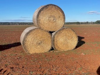 50 X Oaten Hay With Ryegrass 4X4 Round Bales