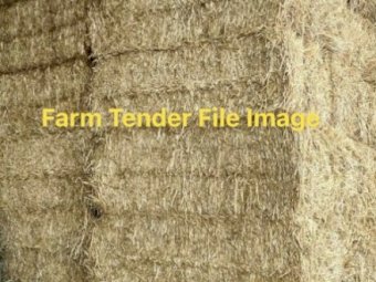 EOI New Season RIce Straw