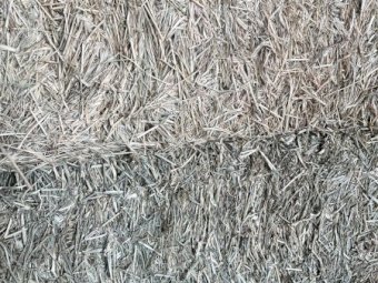 5000 Bales Rhodes Grass Hay