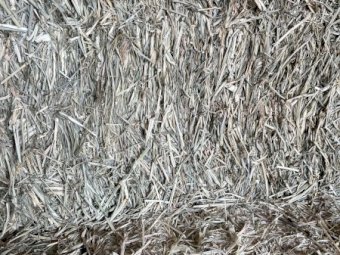 5000 Bales Rhodes Grass Hay