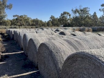Rice Straw 5x4 Round Bales