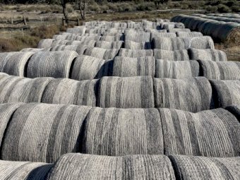 Rice Straw 5x4 Round Bales