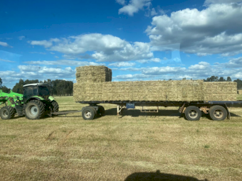 945 x Pasture Hay Small Squares
