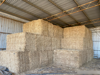 945 x Pasture Hay Small Squares