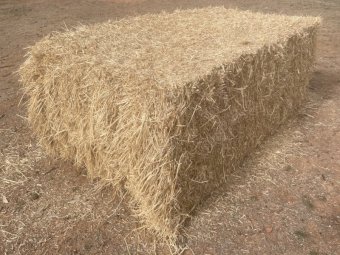 22/23 Season Barley Rye Grass and Clover Hay