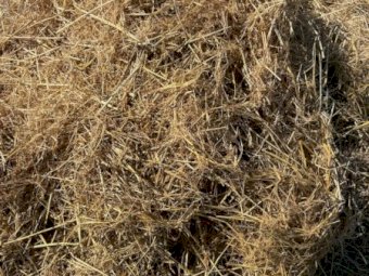 Mulched Rice Straw 8x4x3 Bales