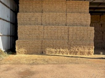 Mulched Rice Straw 8x4x3 Bales