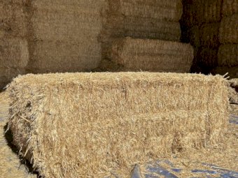 23' Season Header Tailing Oaten Straw 8x4x3 Bales