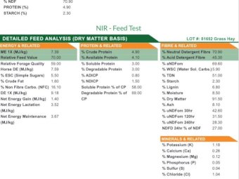 500 mt Bambatsie Pasture Grass Hay