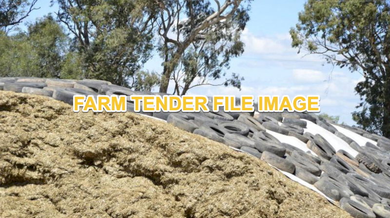 1000mt Oaten Fine Chop Pit Silage