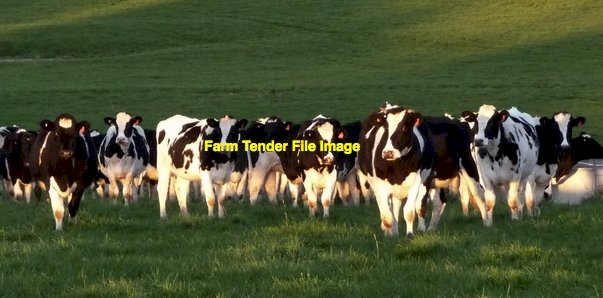 WANTED Dairy Farm Land