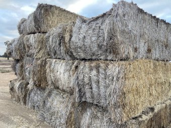 24 Bales of Wheaten Straw