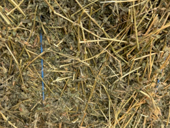 2000 x Lucerne Hay Small Square Bales